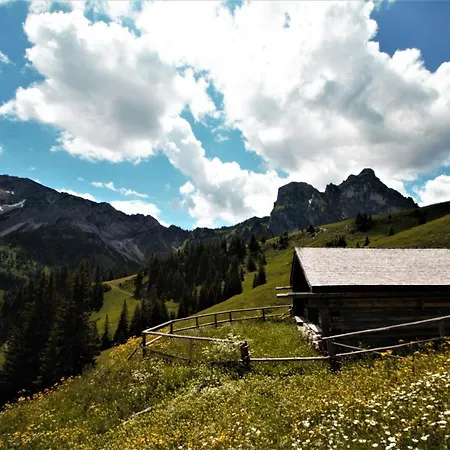 Nr 5 Kienberg - Mit Bergblick In Allgäustyle, Inkl Königscard Apartment